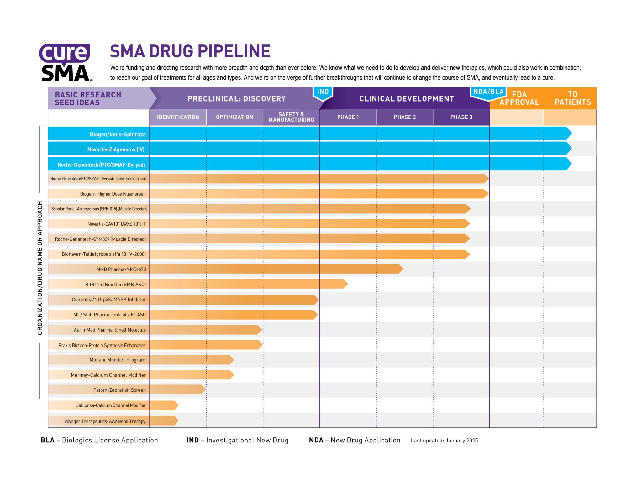 SMA Drug Pipeline Overview